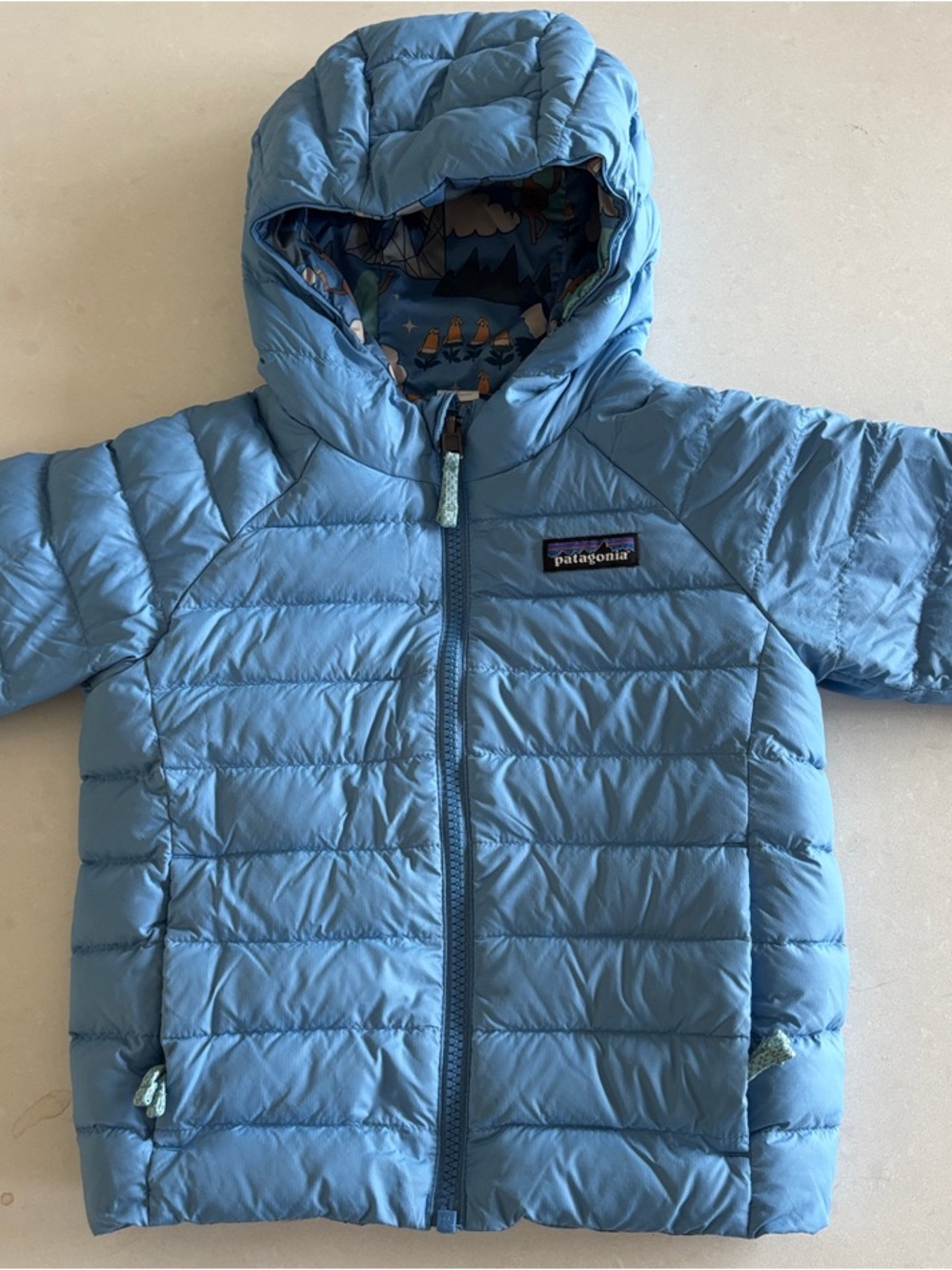 Patagonia Light Blue Kids Puffer Jacket with Hood
